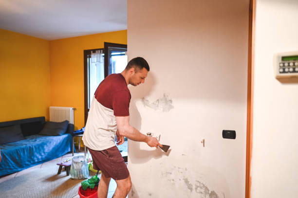 Best Kitchen Mold Remediation in St Joseph, MI